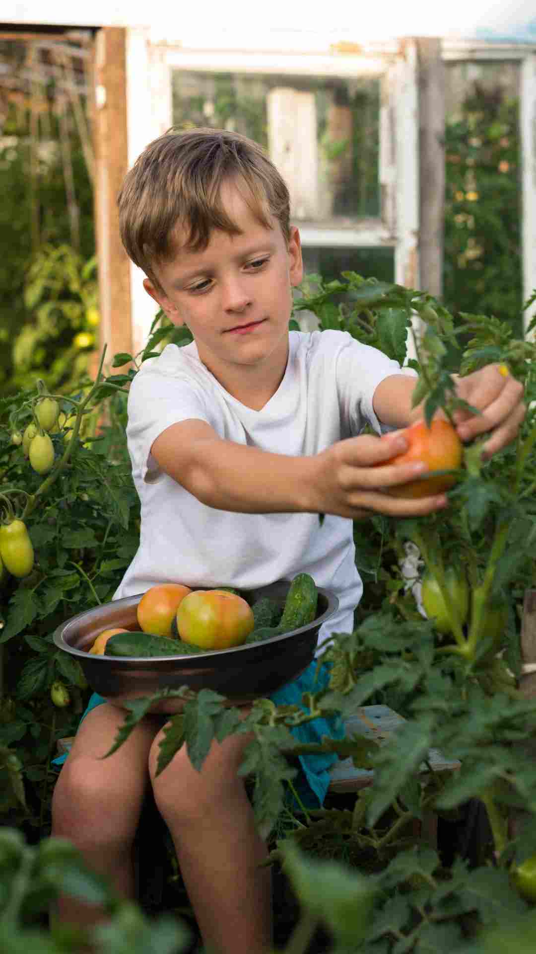 moestuin groeioord