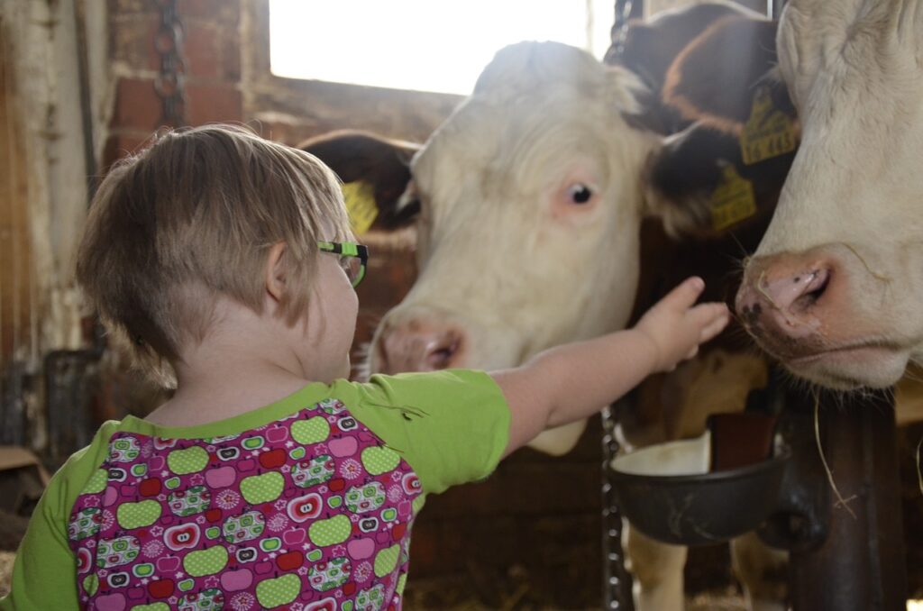 child, farm yard, children-1725120.jpg
