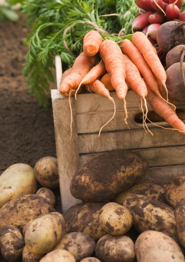 moestuin inzet groeioord