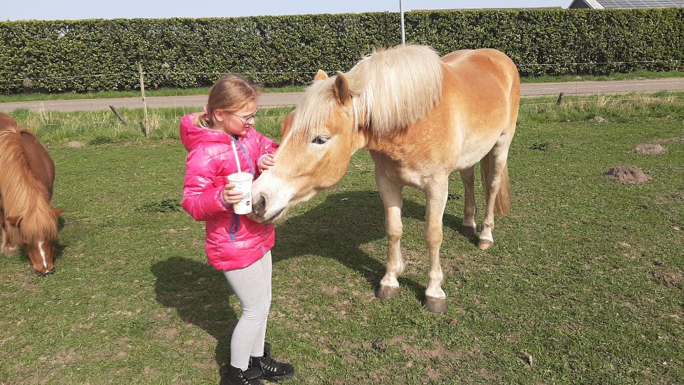 Dagbesteding Zorgboerderij Groeioord Paard verzorgen 1