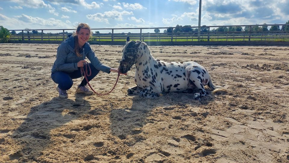 Dagbesteding Zorgboerderij Groeioord Paard verzorgen 3