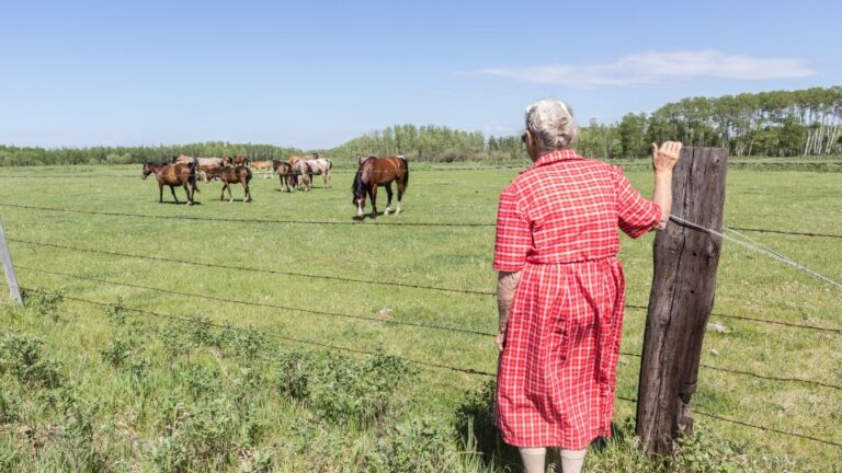 Dagbesteding Zorgboerderij Groeioord bejaarden dementie 2