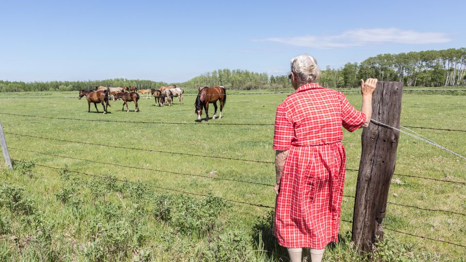 Dagbesteding Zorgboerderij Groeioord bejaarden dementie 2