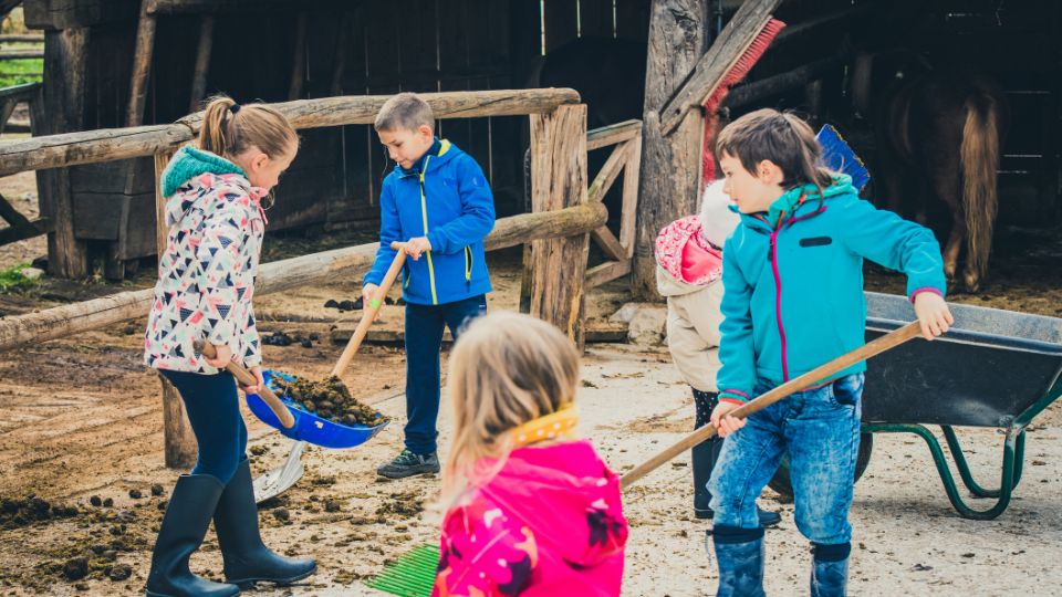 Dagbesteding Zorgboerderij Groeioord groep 1 op 1 2