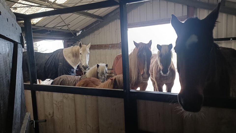Dagbesteding Zorgboerderij Groeioorddag algemeen 2