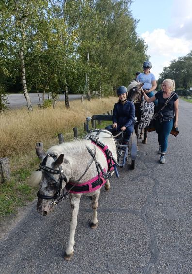 Groeioord Dagbesteding Zorgboerderij Zorg Op Maat