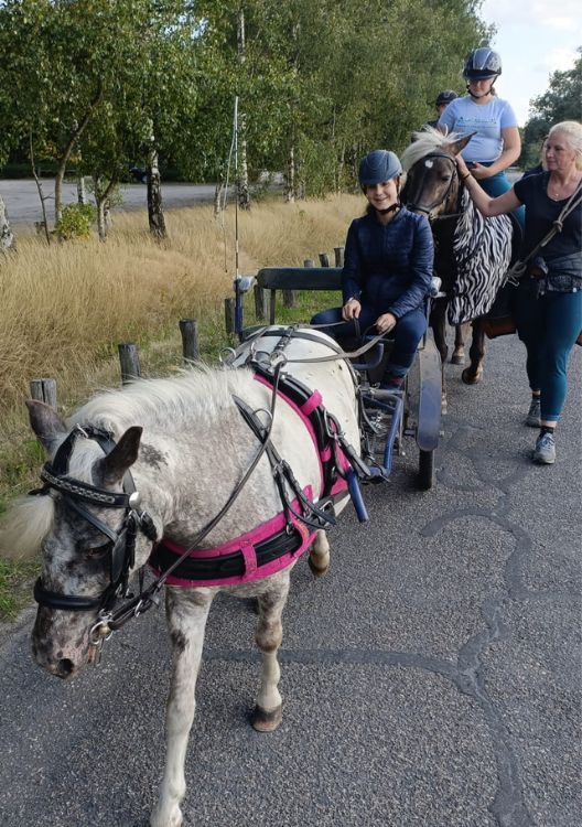 Groeioord Dagbesteding Zorgboerderij aanpak dagbesteding