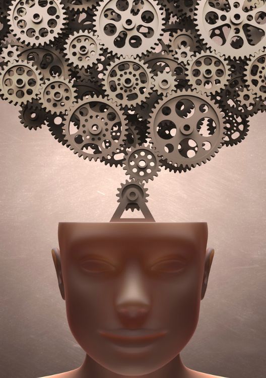 Groeioord sociale psychologie gesprek Coachingsboerderij