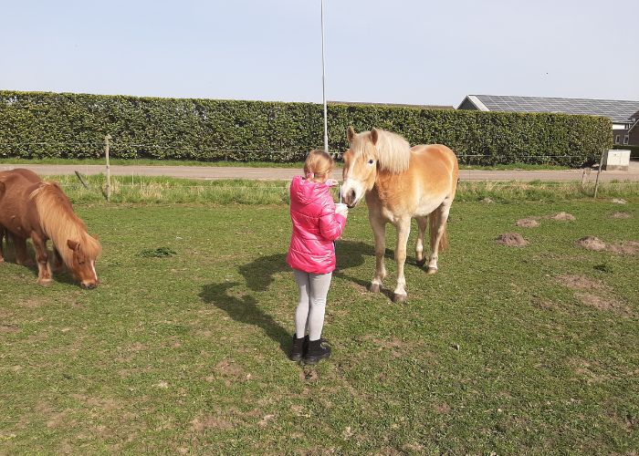 dagbesteding groeioord