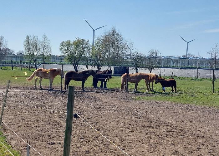 dieren groeioord